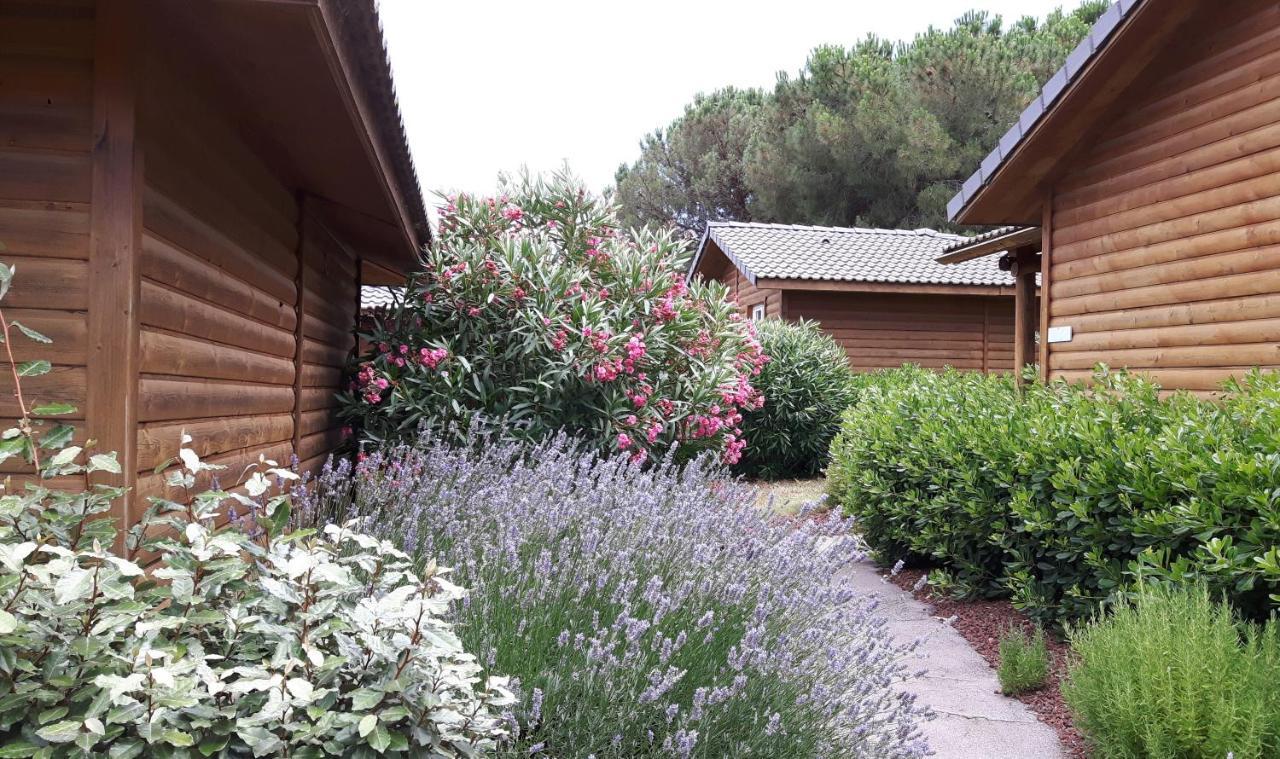 Parc Residentiel Les Hauts De Baldy Agde Buitenkant foto